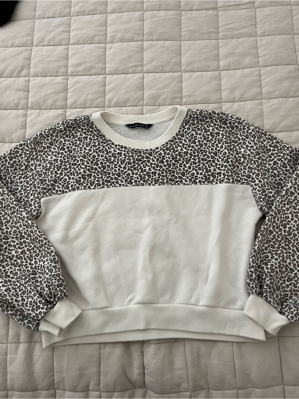 Abercrombie & Fitch Leopard-Print Sweatshirt